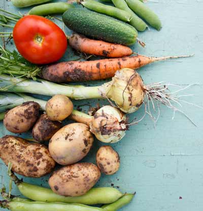 Diet plan for weight loss