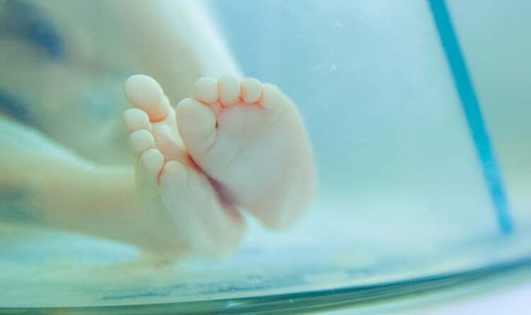 Understanding The Reasons For Miscarriage