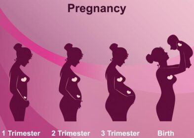 Stages of Pregnancy : A Guide For Each Month