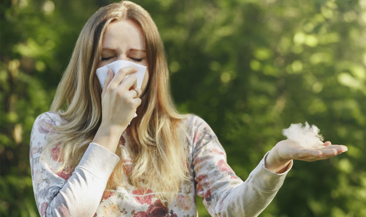 Hay Fever Symptoms and Treatment : Expert’s Guide to Hay Fever