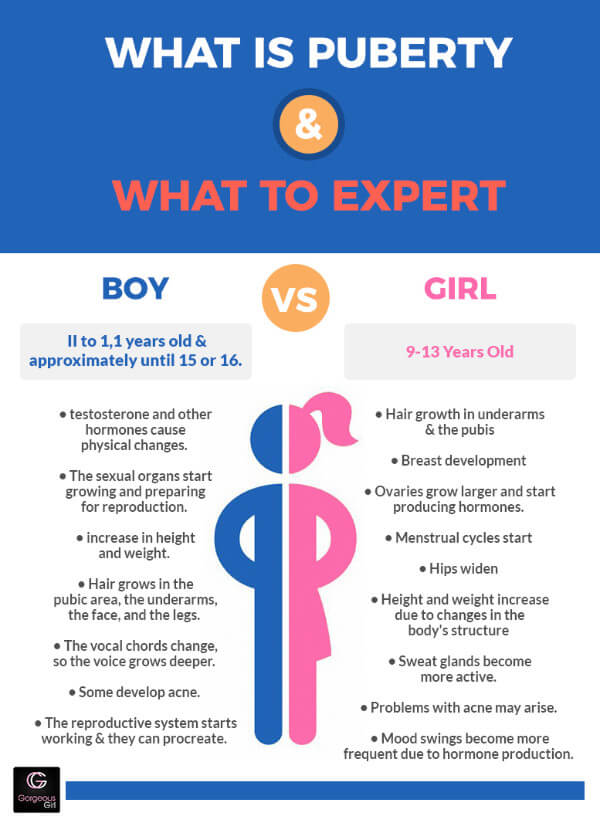 Infographic puberty