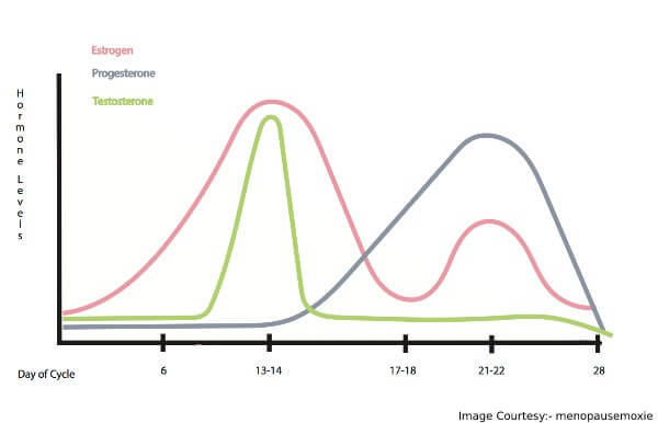 what is hormonal acne 