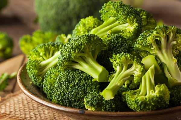 Broccoli Vegetable 