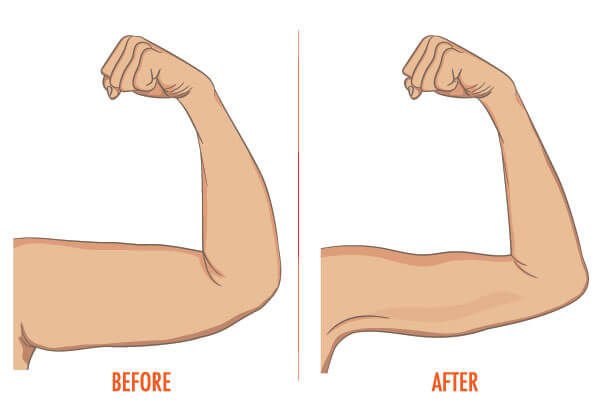 Effects of Bat Wings