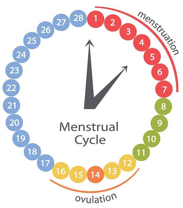Brown Discharge Before Period Top 7 Causes And Reasons Behind It