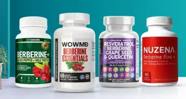 Best Berberine Supplements in 2025 : A Comphrehensive Guide