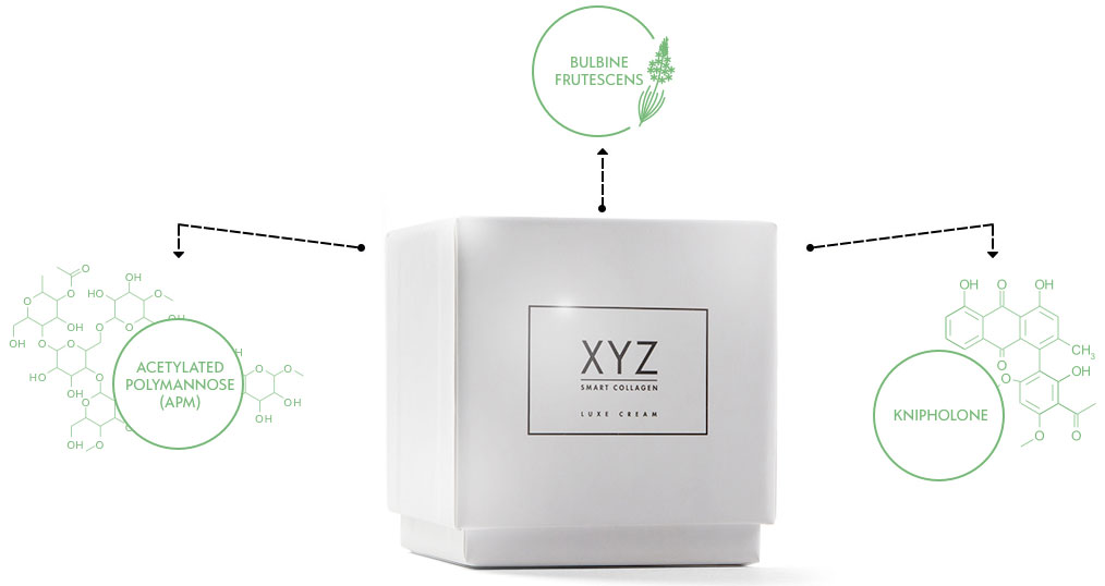 XYZ ingredient